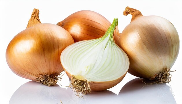 onion bulbs isolated on transparent png