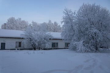 Snow-covered trees, building with snow-covered roof, windows with icicles. A day during the polar night in the Far North of Russia.