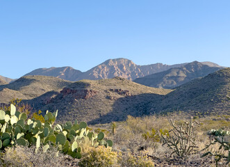 A desert landscape with cactus, mountains and a clear blue sky. Big Bend National Park in Texas, Southwest USA road trip travel.