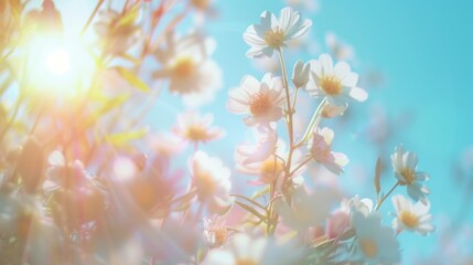 Fototapeta premium Sun shining brightly through a vibrant display of flowers. Perfect for nature or garden-themed projects