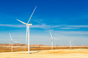 Windmills standing tall overlooking farm fields generating green energy in Western Canada