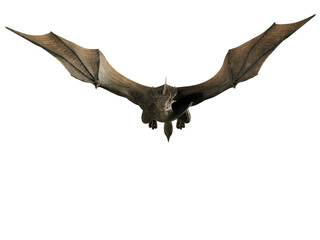 3D rendered dragon in a flying pose isolated on transparent background 