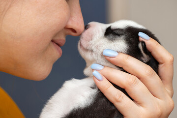 Tender Moment with Newborn Puppy