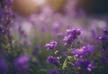 Summer floral background with beautiful purple flowers