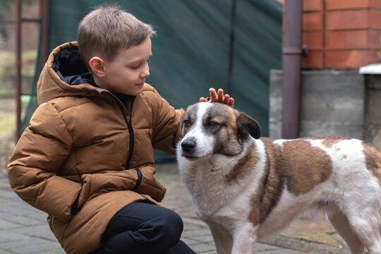 Adorable kid  boy and his dog outside, close-up image