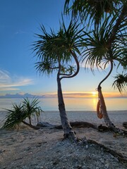 Beautiful palm trees and white sand beach on the island of Siquijor, at sunset - Siquijor, Philippines