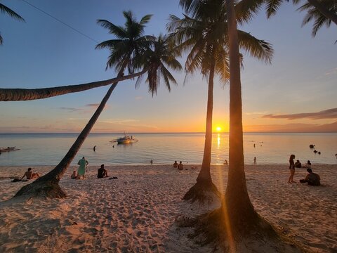 Beautiful palm trees and white sand beach on the island of Siquijor, at sunset - Siquijor, Philippines