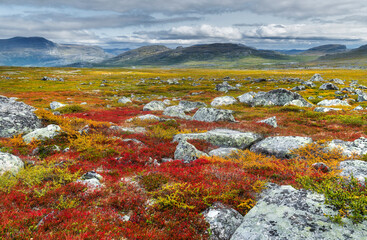 herbstliches Fjell, Stora Sjöfallets Nationalpark, Lappland, Schweden, Europa
