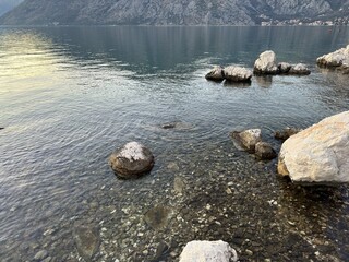 Palm trees, silver sunset sea, romantic sunset, look like pineapples, Montenegro Kindness Mountains Sea Walk Adventure Tourism attraction