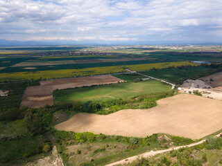 Obraz premium Blooming rapeseed field near village of Kostievo, Bulgaria