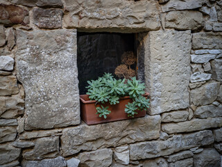 flower pot in the window in city Motovun, Croatia
