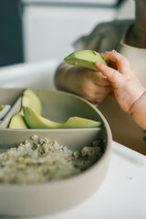 first blw baby food, little baby eating organic vegetables with BLW method. Infant eating healthy food. self feeding