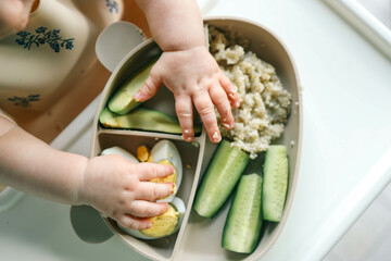 first blw baby food, little baby eating organic vegetables with BLW method. Infant eating healthy food. self feeding