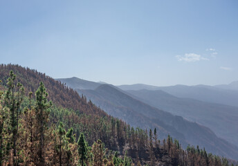 Landscape of Teide National Park on Tenerife