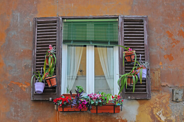 Fototapeta na wymiar Charming, picturesque old weathered window with shutters and a lot of flowers in flowerpots with grunge plastered wall as background in Italy