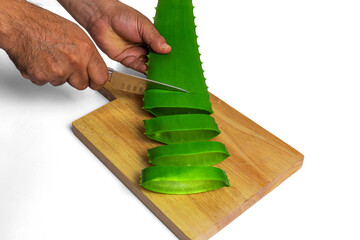 aloe vera in garden being cut