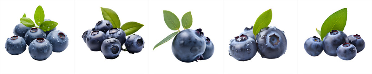 blueberries collection isolated on transparent background