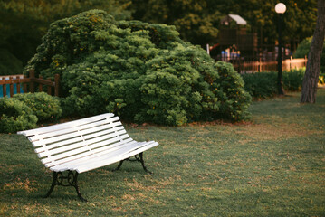 An empty bench in a park