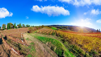 Aerial view of landscape between terraced vineyards of Emilia winegrowing village Valsamoggia in...