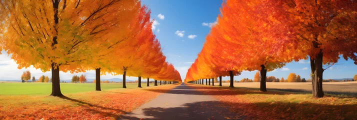 Crédence de cuisine en verre imprimé Rouge 2 Inviting Pathway Amidst Vibrant Autumn Colors: Fall Season Landscape