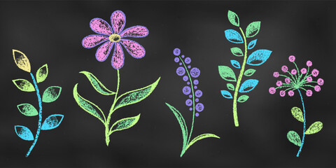 Realistic Chalk Drawn Sketch. Set of Design Botanical Elements Flowers, Leaves and Branches Isolated on Chalkboard Backdrop.