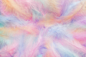 Fluffy pastel colored feathers. Soft gentle feather background. - 737582360
