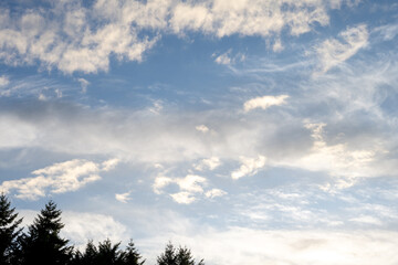 Early sunset in a cloudy blue sky with treetops in the foreground, as a nature background
