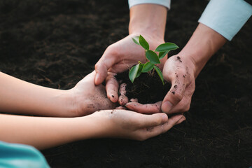 Businessman grow and nurture plant on fertilized soil with young boy as eco company committed to...