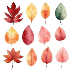 Watercolor Autumn Leaves Collection 