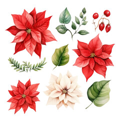 Watercolor Poinsettias and Leaves Collection red, green, white