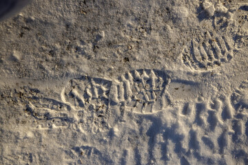 Shoeprints In Snow On Winter Walking Trail Path Minnesota 