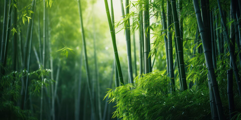 Serene Asian Bamboo Grove: A Vibrant Tapestry of Nature's Growth and Beauty in Kyoto's Arashiyama Park