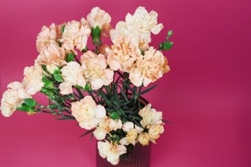 Obraz na płótnie Canvas bouquet of carnations 