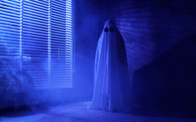 Creepy ghost. Woman covered with sheet near window in blue light