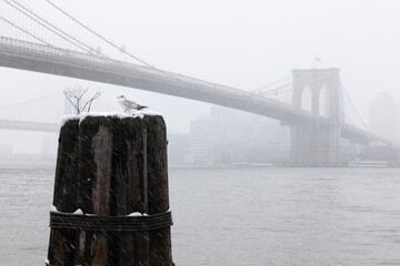 Brooklyn Bridge view in the snow