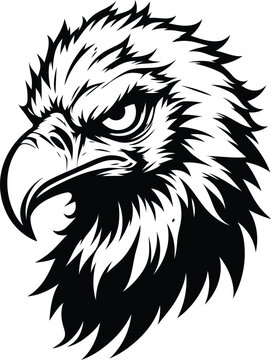 recommend clip art: vulture, bird head, animal mascot illustration,