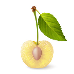 A single yellow cherry with a green leaf on its stem, cut in half with the pit exposed, illustration on a white background - 737651307