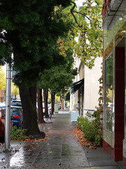 Empty Wet Suburban Sidewalk With Shops And Cars