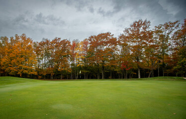 golf green in the fall surround by trees