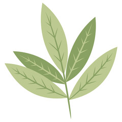Flat Leaves Icon Illustration Design Icon