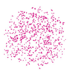 Illustration of a scattering of small flower petals