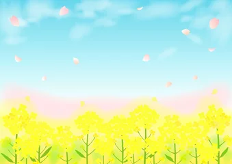 Photo sur Plexiglas Jaune 春の菜の花畑と桜の風景イラスト