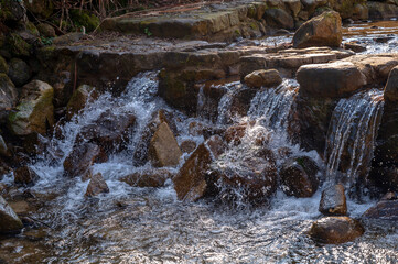 waterfall in the forest