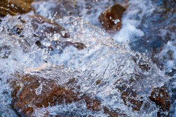 water flowing in the forest