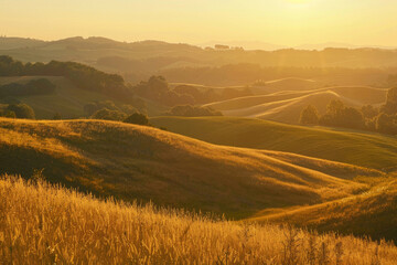 Golden sunlight bathes rolling meadows, casting warm hues and a sense of tranquility
