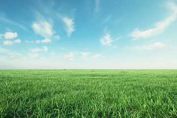 Fotobehang green grass field horizon and blue sky with clouds © O-Foto