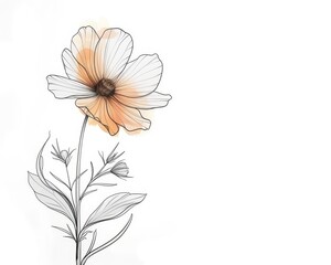 Continuous line daisy illustration minimalist and fresh against a white canvas