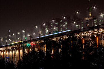 View of Banpo Bridge in the night