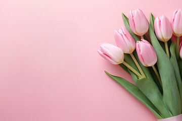 Pink Tulip Flowers on Pink Background