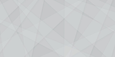 Abstract white and grey on light silver background modern design. abstract geometry shine and layer element vector for presentation design. triangle pattern gradient background. vector illustration.